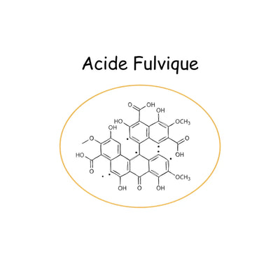Acide fulvique