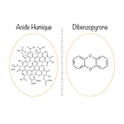 Acides humiques