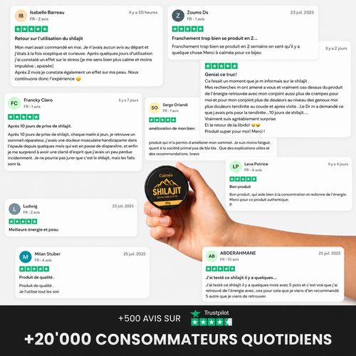 Résine de Shilajit Primal